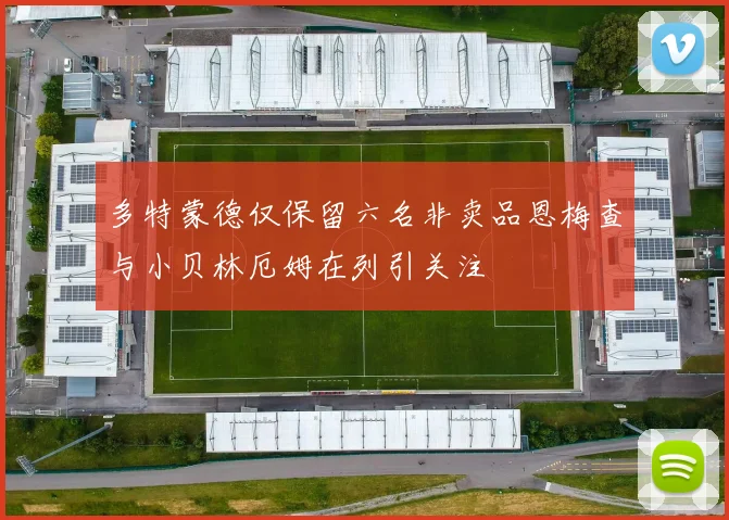 多特蒙德仅保留六名非卖品恩梅查与小贝林厄姆在列引关注